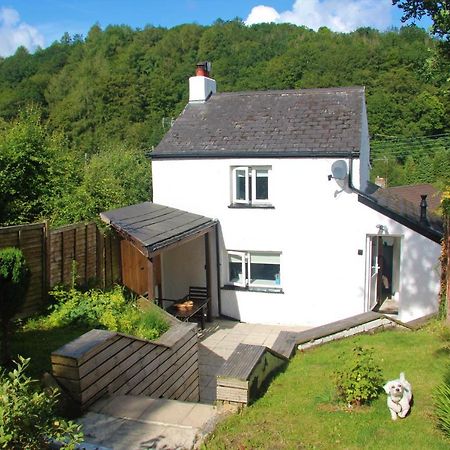 Cinderford Peacock Cottage מראה חיצוני תמונה