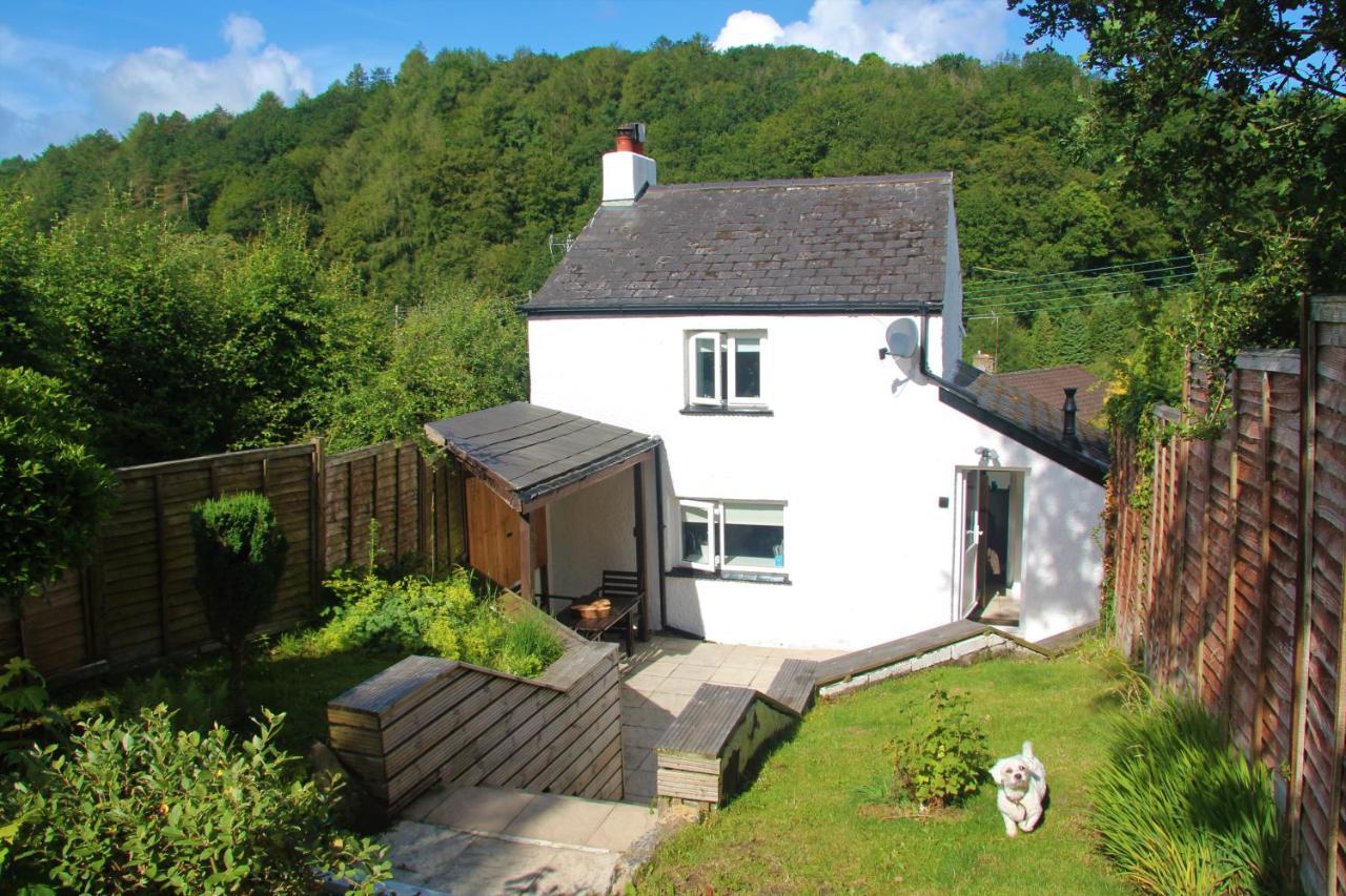 Cinderford Peacock Cottage מראה חיצוני תמונה